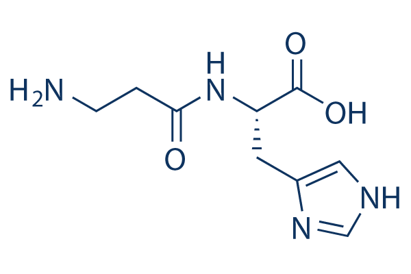 L-carnosine molecular formula L-carnosine molecular formula