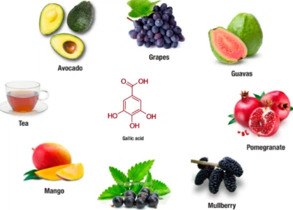 Foods Contain Gallic Acid