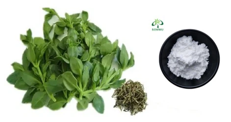 andrographolide plant and powder