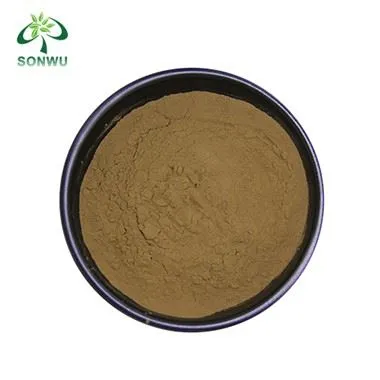 Bulk Lion's Mane u prahu