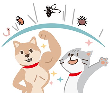 Evo zašto vaš pas neće prestati grebati