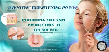 Rješavanje neujednačenog tona kože: zašto 4MSK postaje sve popularniji u proi...