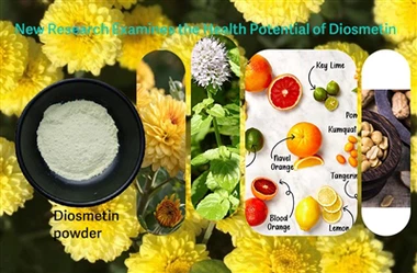 Istraživači ispituju potencijalnu ulogu diosmetina u borbi protiv oksidativno...