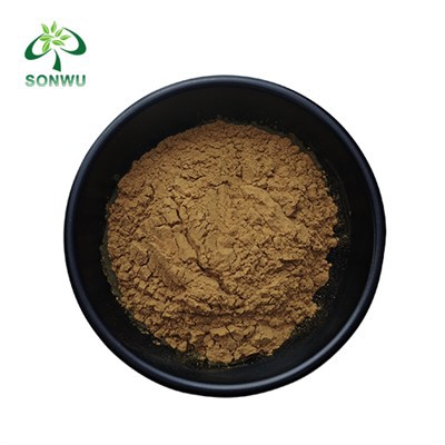 Ekstrakt Cyanotis arachnoidea